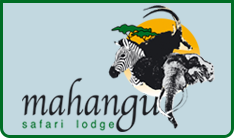 mahangu safari lodge photos